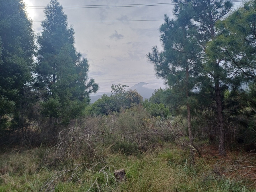 Commercial Property for Sale in Hoekwil Western Cape